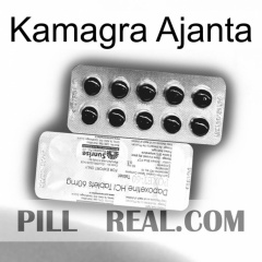 Kamagra Ajanta new07